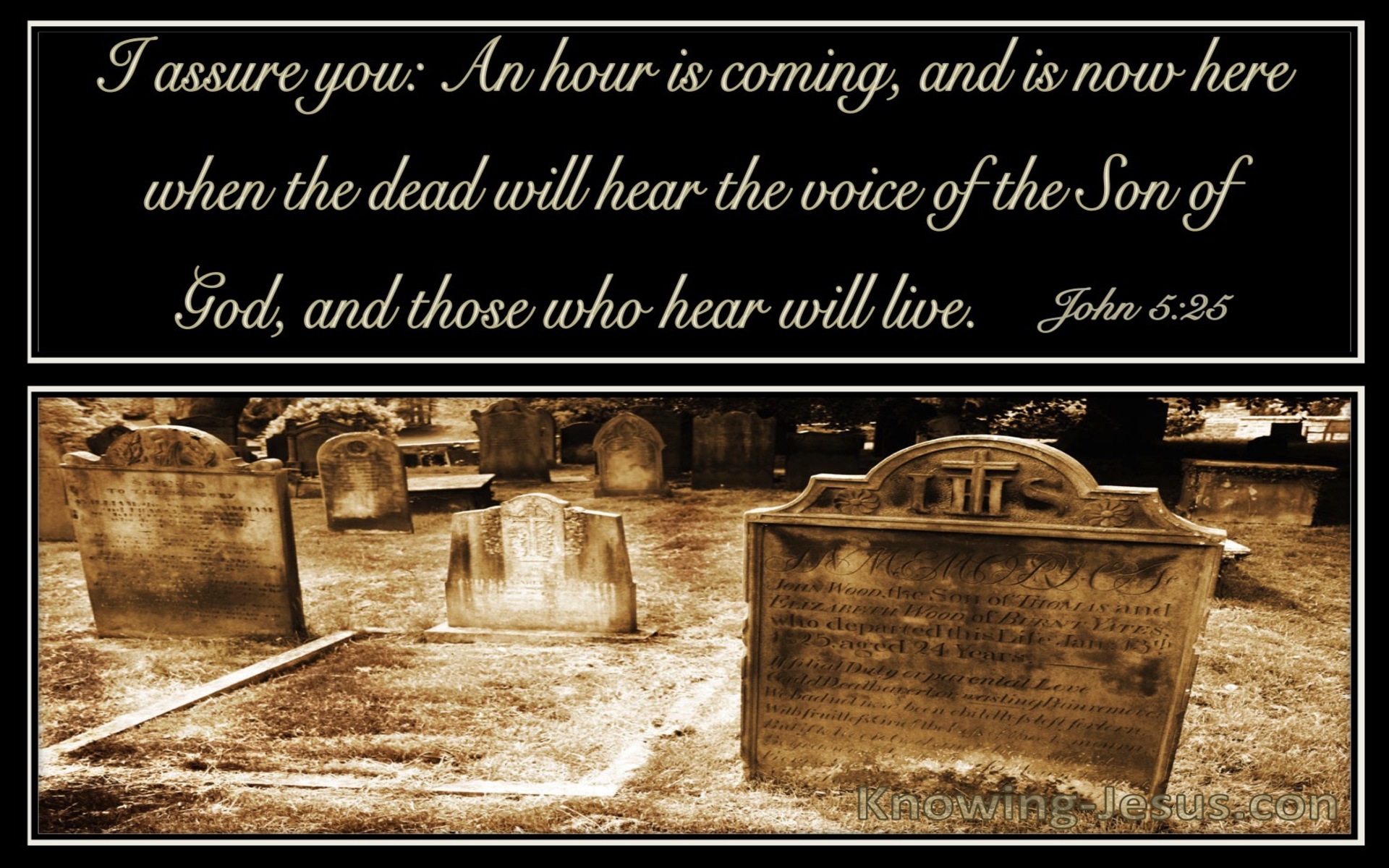 John 5:25 All Who Hear The Son Of God Will Hear And Life (black)